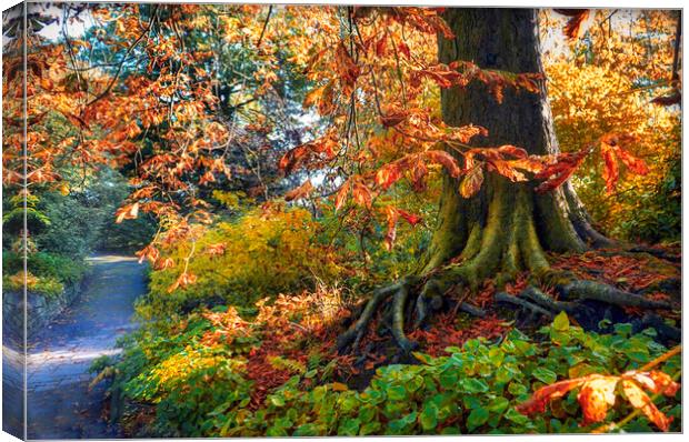 Sheffield Botanical Gardens Conker Tree Canvas Print by Alison Chambers