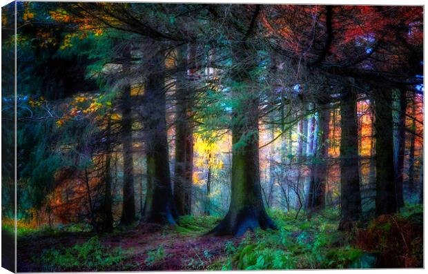 Colourful Autumn At Langsett Woods Canvas Print by Alison Chambers