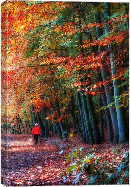 Newmillerdam Autumn Woodland Portrait  Canvas Print by Alison Chambers