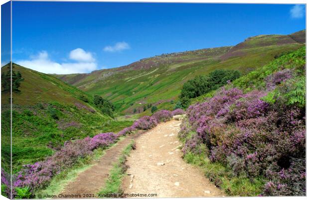 Grindsbrook Canvas Print by Alison Chambers