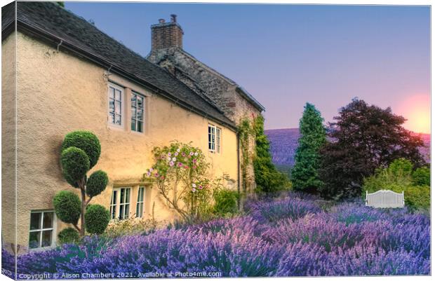 Sunrise At Lavender Cottage Canvas Print by Alison Chambers