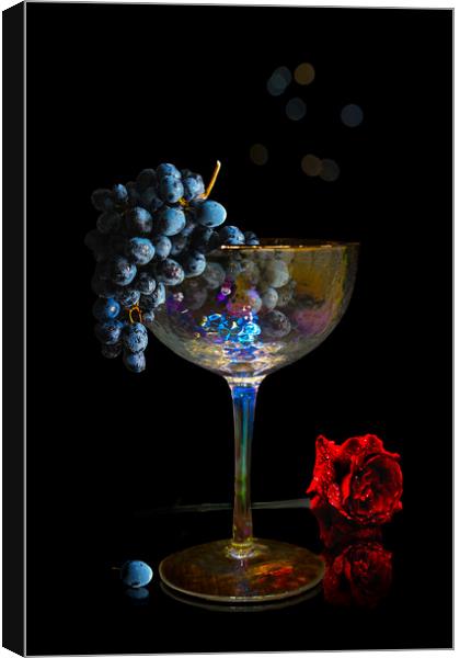 Still Life Canvas Print by Alison Chambers