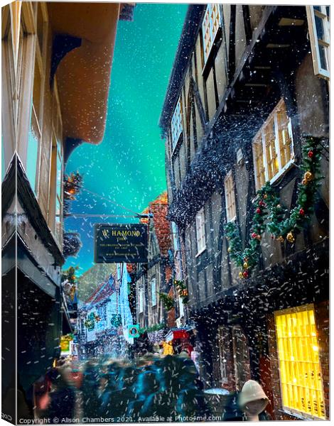 Snowy Shambles Canvas Print by Alison Chambers