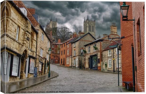 Steep Hill and The Strait Canvas Print by Alison Chambers