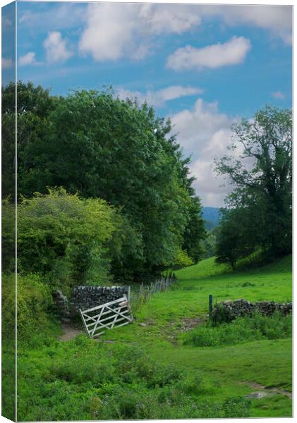 Lathkill Dale Canvas Print by Alison Chambers