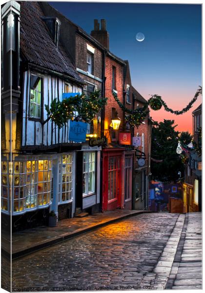 Lincoln Steep Hill Portrait Canvas Print by Alison Chambers