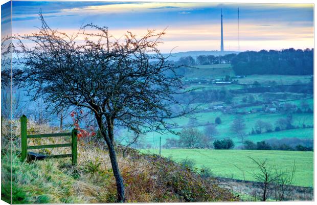  Emley Moor View Canvas Print by Alison Chambers