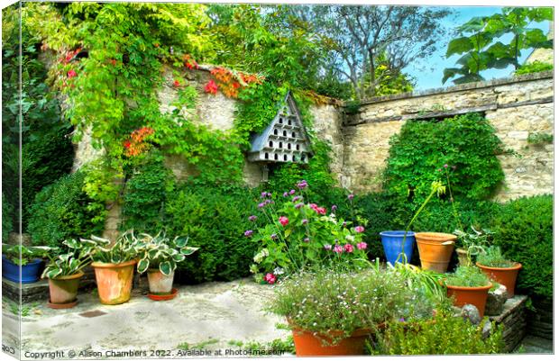 A Courtyard Garden Canvas Print by Alison Chambers