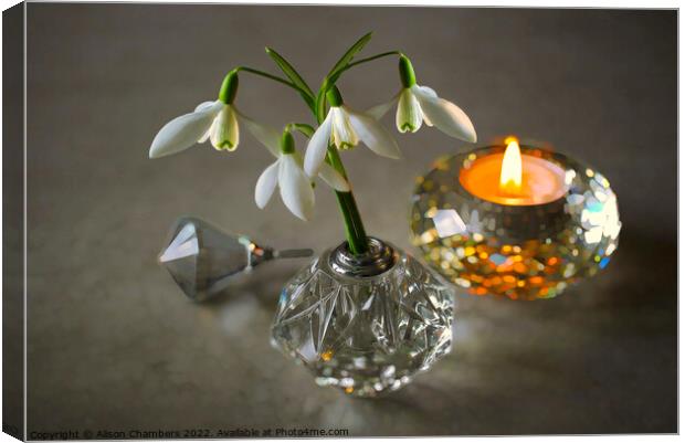 Snowdrops and Candlelight  Canvas Print by Alison Chambers