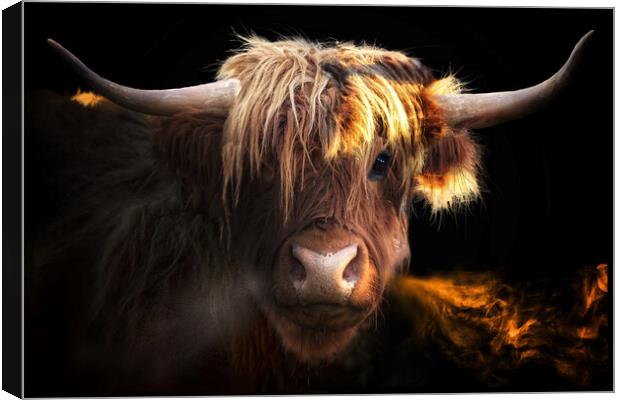 Highland Cow Canvas Print by Alison Chambers