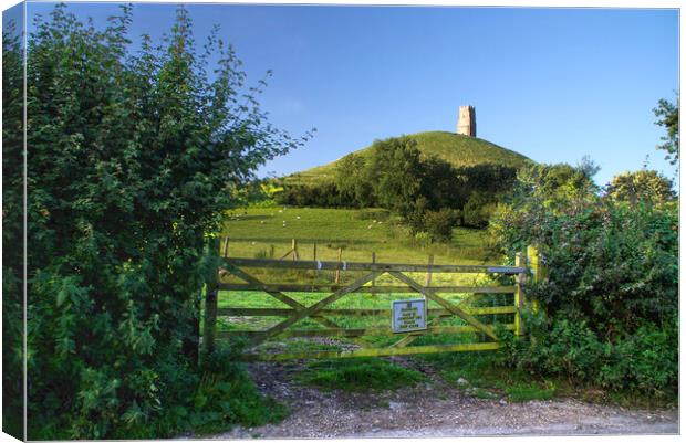 Glastonbury Tor Somerset  Canvas Print by Alison Chambers