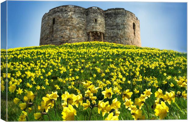 Cliffords Tower, York Canvas Print by Alison Chambers