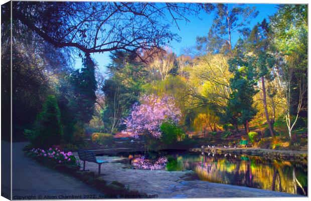 Peasholm Park Cherry Blossom Reflection  Canvas Print by Alison Chambers