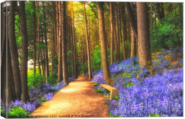 Bluebells Of The Peak Canvas Print by Alison Chambers