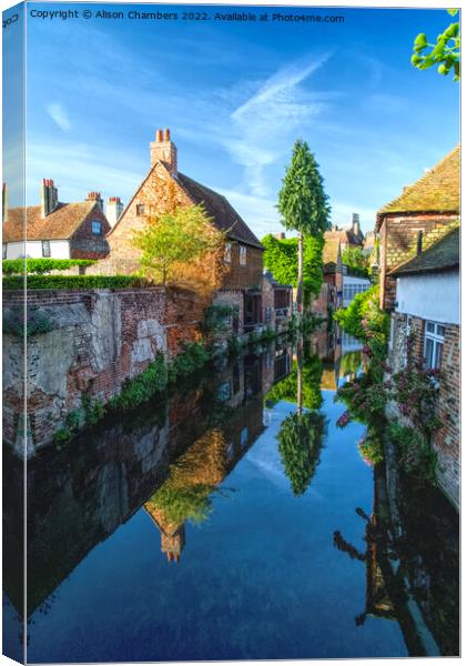 River Stour Canterbury  Canvas Print by Alison Chambers