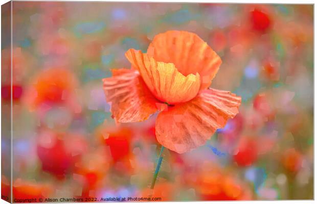 Poppy Flower Impressions Canvas Print by Alison Chambers