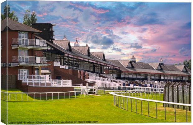 Pontefract Racecourse  Canvas Print by Alison Chambers