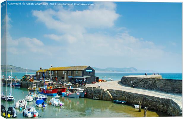 Lyme Regis Canvas Print by Alison Chambers