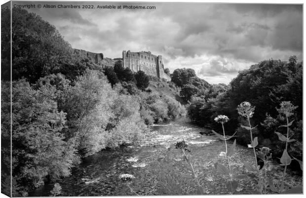 Richmond Castle Above River Swale Monochrome  Canvas Print by Alison Chambers