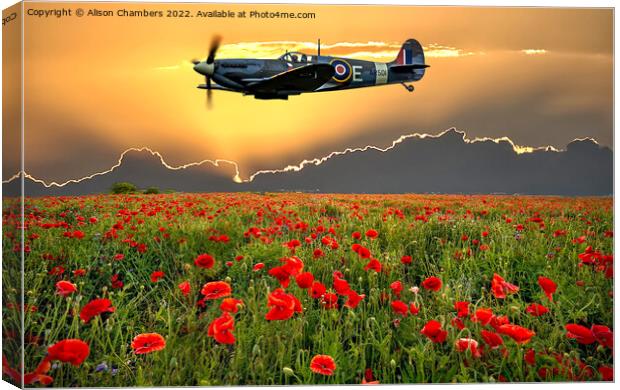 Spitfire Poppy Field Memorial Flight Canvas Print by Alison Chambers