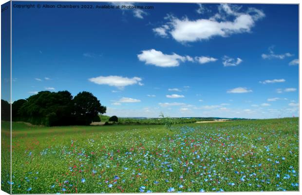 Summer Flower Meadow Canvas Print by Alison Chambers