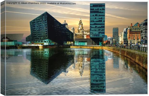 Liverpool Canning Dock  Canvas Print by Alison Chambers