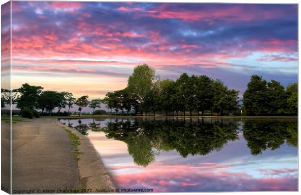 Pontefract Park Sunset Canvas Print by Alison Chambers