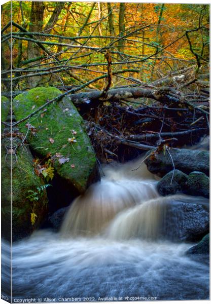 Padley Gorge Waterfall Canvas Print by Alison Chambers