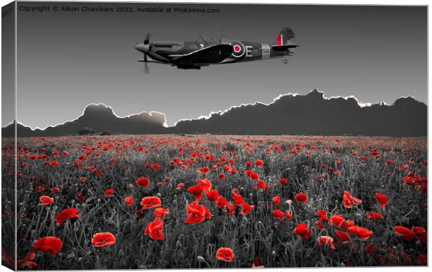 Spitfire Poppy Field Canvas Print by Alison Chambers