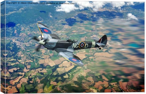 Spitfire  Canvas Print by Alison Chambers