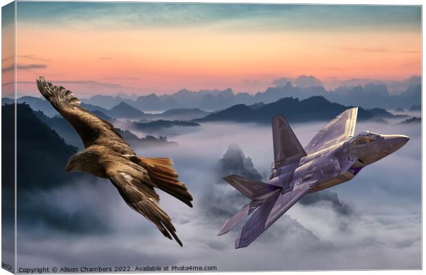F22 Raptor Canvas Print by Alison Chambers