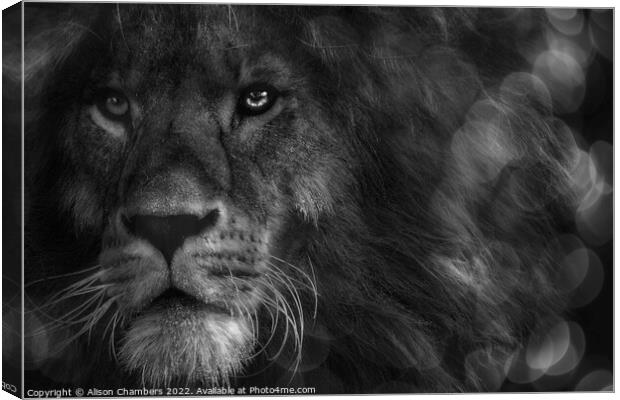Leo The Lion Portrait Canvas Print by Alison Chambers