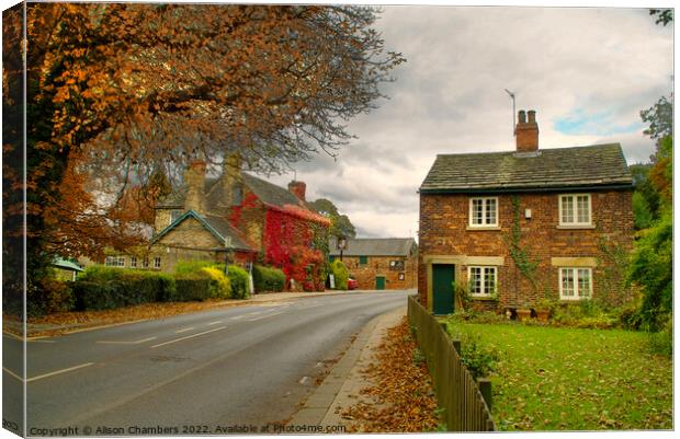 Wentworth Village Rotherham  Canvas Print by Alison Chambers