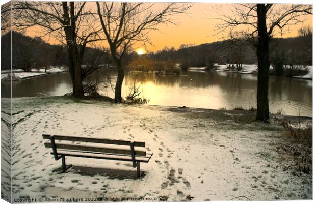 Winter in Dearne Valley Park Canvas Print by Alison Chambers