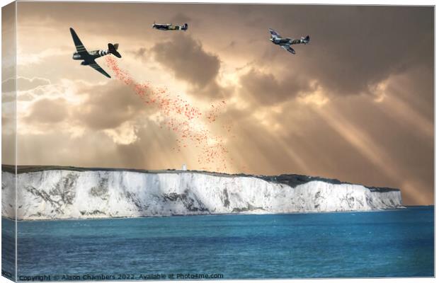 Dover Poppy Drop Canvas Print by Alison Chambers