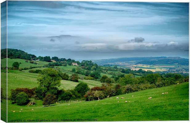 Gloucestershire Cotswolds Landscape  Canvas Print by Alison Chambers