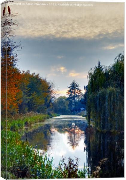 Elsecar Canal Barnsley  Canvas Print by Alison Chambers
