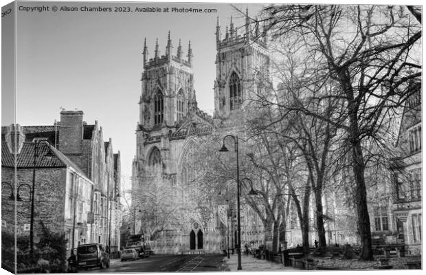 York Minster  Canvas Print by Alison Chambers