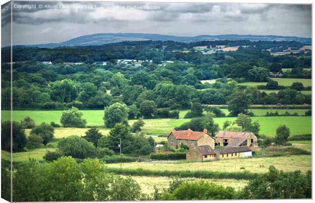 Somerset Landscape  Canvas Print by Alison Chambers