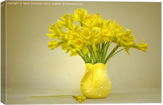 Daffodils  Canvas Print by Alison Chambers