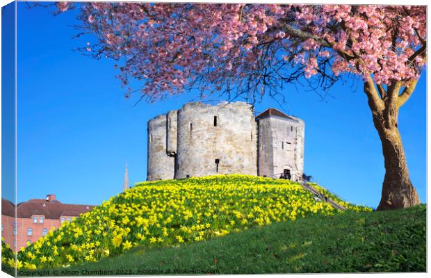 Cliffords Tower York Canvas Print by Alison Chambers