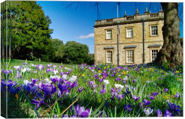 Cannon Hall Barnsley  Canvas Print by Alison Chambers