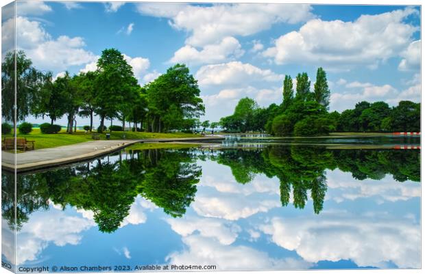 Pontefract Park Canvas Print by Alison Chambers