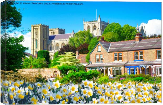 Springtime In Ripon Canvas Print by Alison Chambers