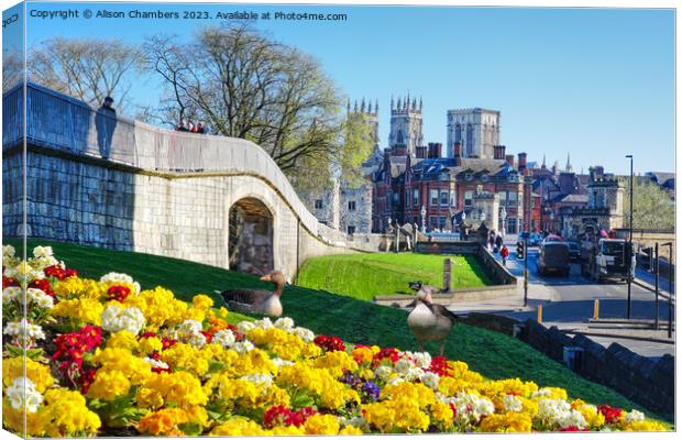 Springtime In York Canvas Print by Alison Chambers
