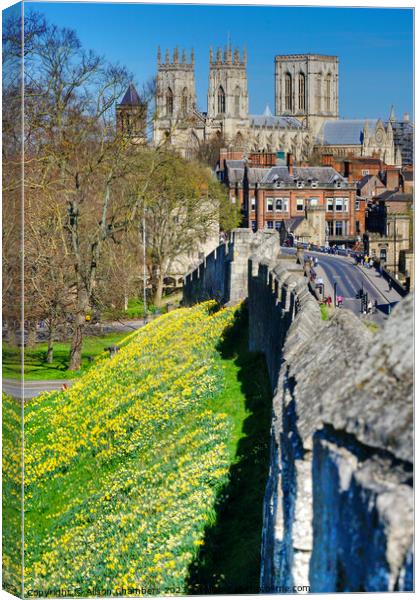 York Minster Canvas Print by Alison Chambers