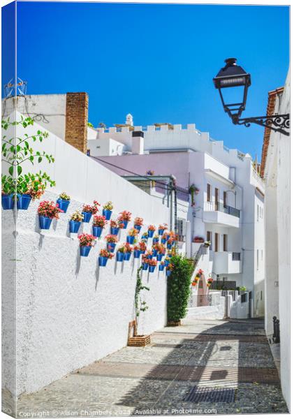 Marbella Old Town Street Canvas Print by Alison Chambers