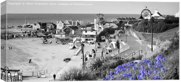 Lyme Regis Coast Canvas Print by Alison Chambers