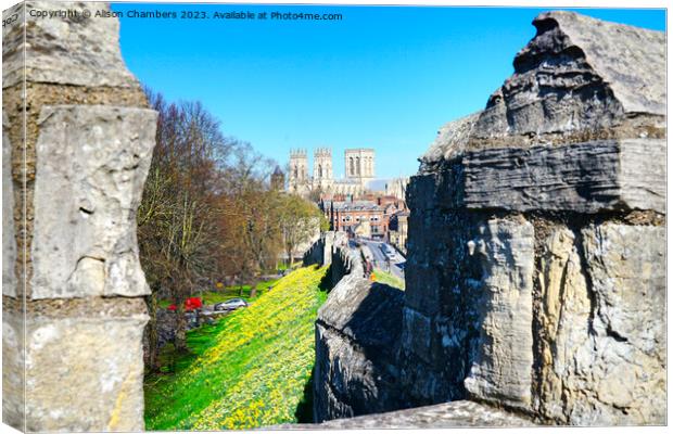 York Minster Canvas Print by Alison Chambers