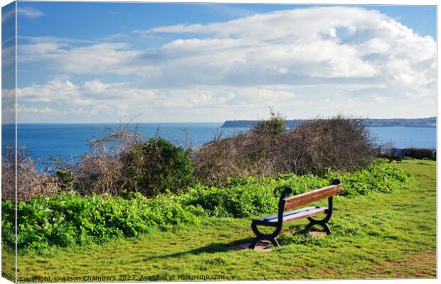 Daddyhole Plain Torquay Canvas Print by Alison Chambers